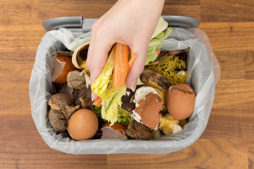Gilston Waste Management - food-waste-bin