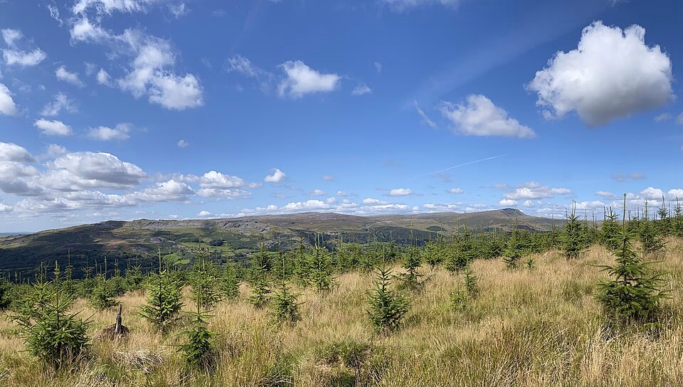 Gilston Waste Management - Mid-Wales